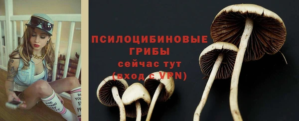 mix Гусь-Хрустальный