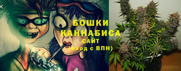 винт Гусиноозёрск