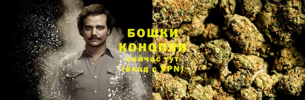 прущий лед Инсар